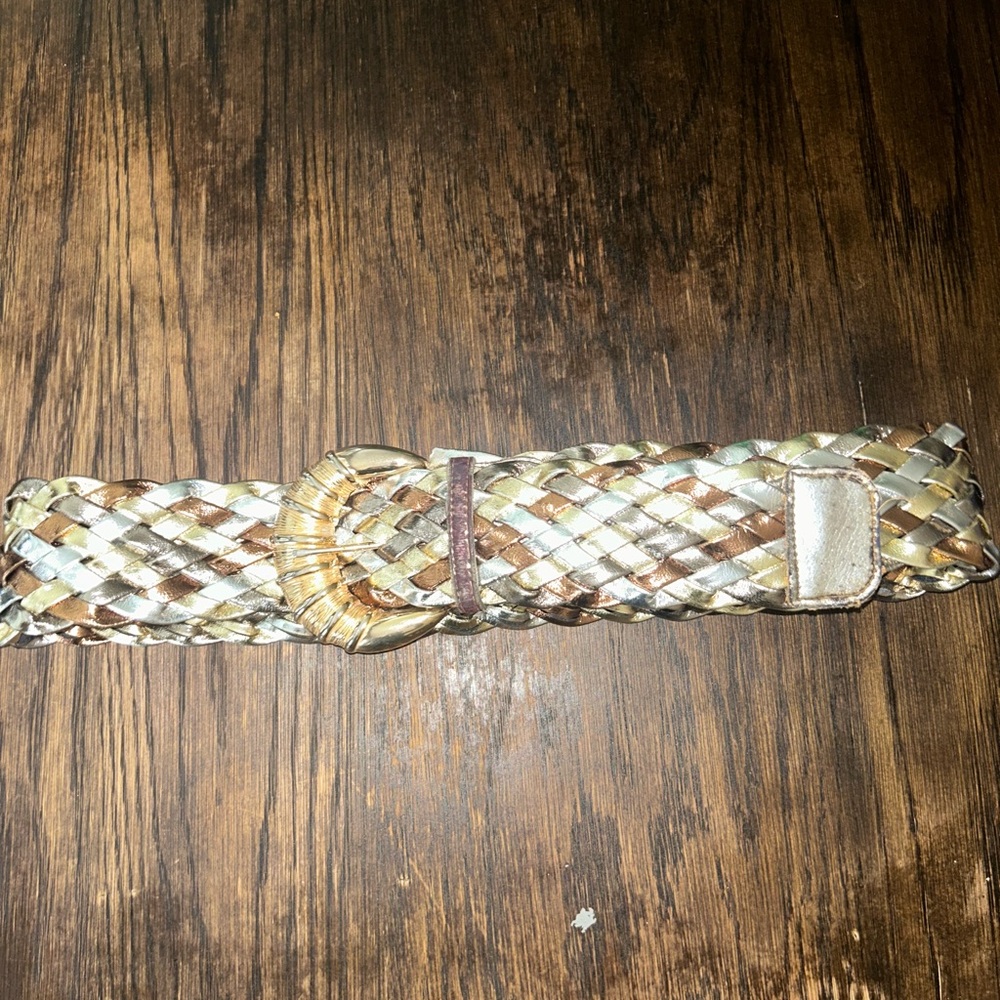 Braided Metallic Belt